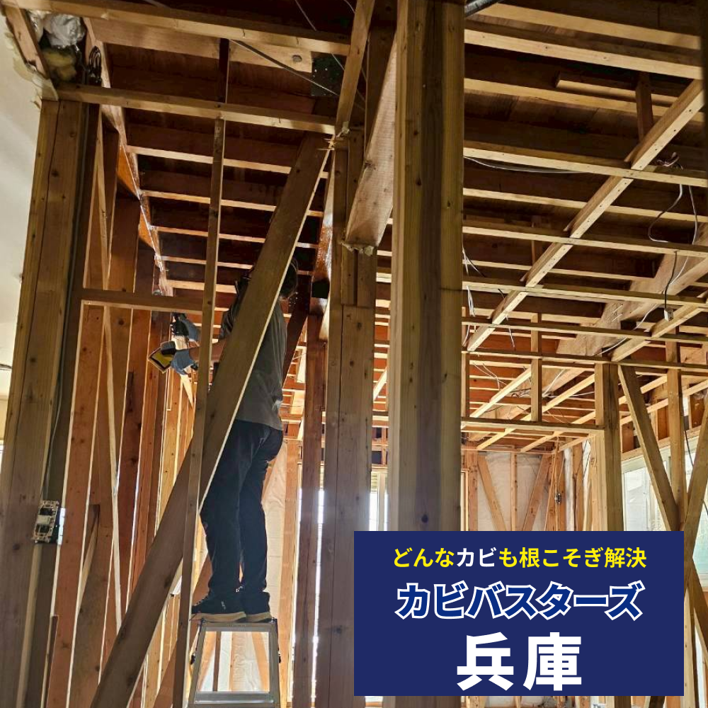 プールの天井カビ取り対策｜MIST工法®で兵庫の施設を守る決定版
